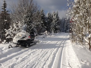 IMG_2800[1]